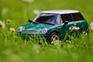 Mini Prase