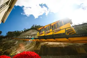 Sekačka Na Trávu Elektrická