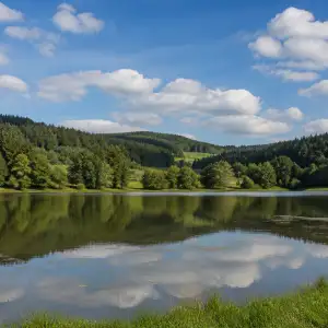 Heřmanický Rybník