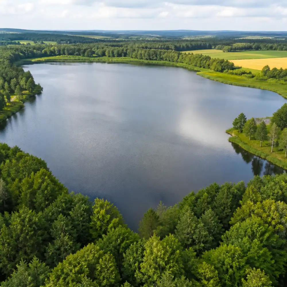 domanínský rybník
